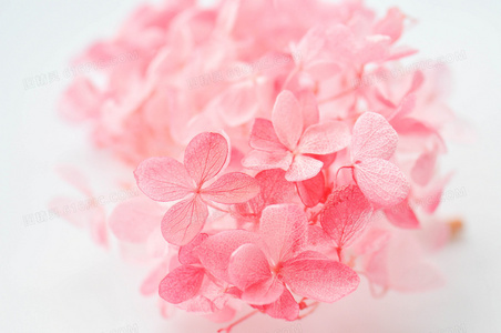 特工对决黑客帝国:猛龙行动之绝密代码科技战场全揭秘