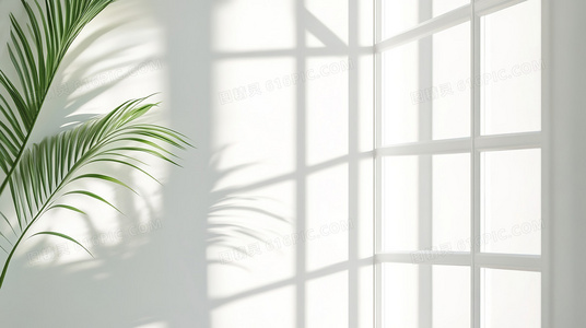 塔图因的双阳之下：沙漠星球的外星社会与边缘生存