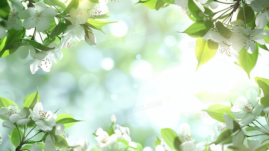 在细节中沉没：电影如何用日常呈现历史之重