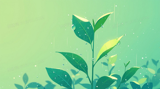 观众热议:近战法师第二季可能的播出平台与时间